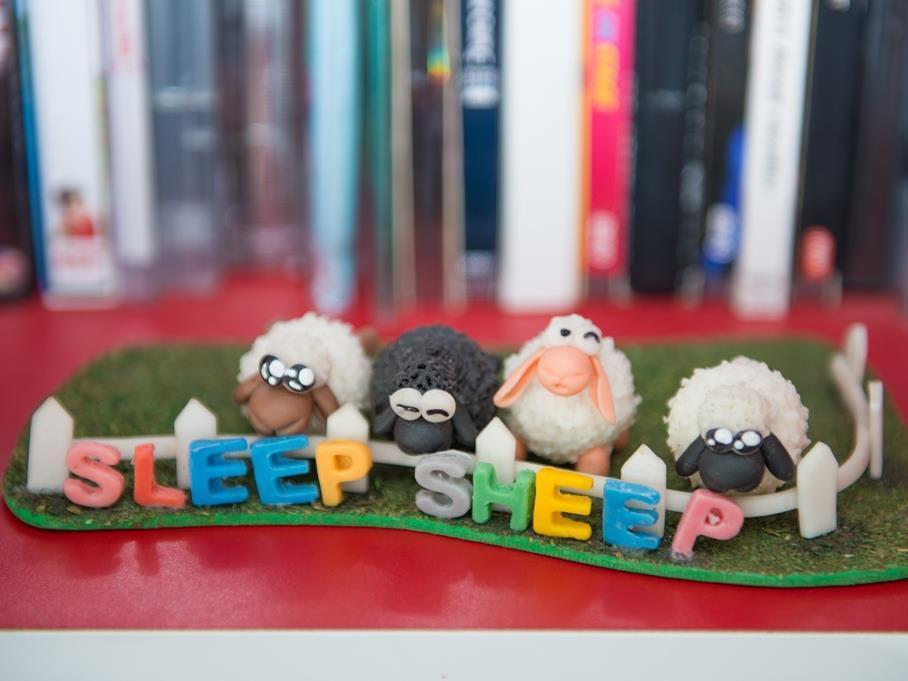 Sleep Sheep Phuket Hostel Sha Kültér fotó